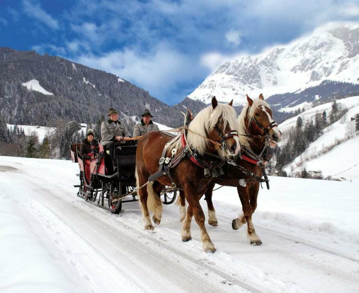 Pferdekutschenfahrt durch verschneite Winterlandschaft