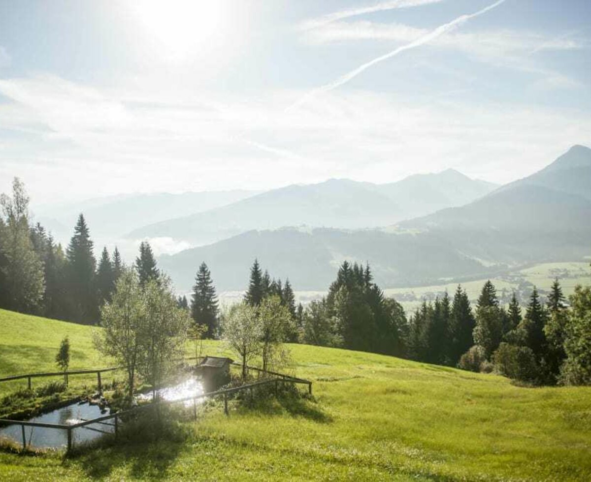 Aussicht vom Ferienhaus Weitblick am Pürstinghof in Flachau im Sommer