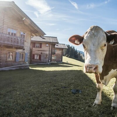 Urlaub am Bauernhof Ferienhof Oberreit