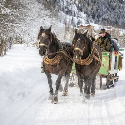 Pferdeschlittenfahrt Griesbauer