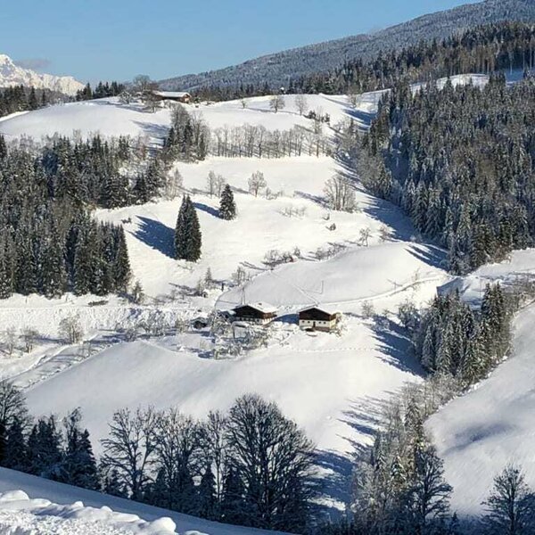 Das Hallmoosgut im Winter