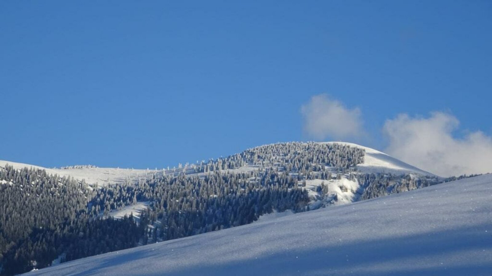 Blick zum Trattberg