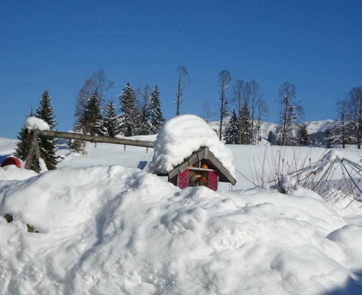 Garten im Winter