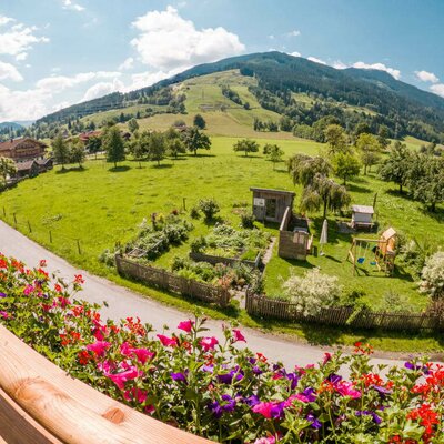 Aussicht vom Balkon auf den Garten