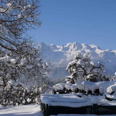 Traumhaftes Winterpanorama