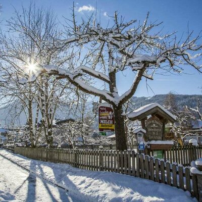 Landhaus Olga im Winter