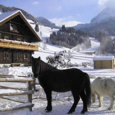 Haus mit Pferden im Winter