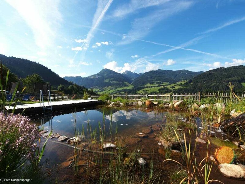 Blick auf Schwimmteich