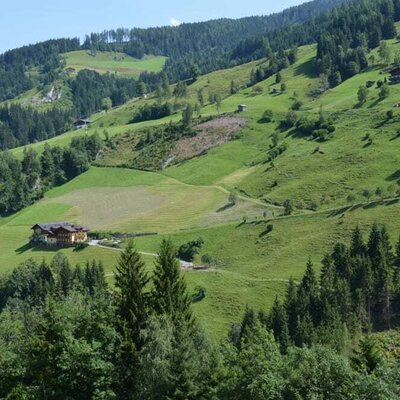 Pfandlinghof im Sommer