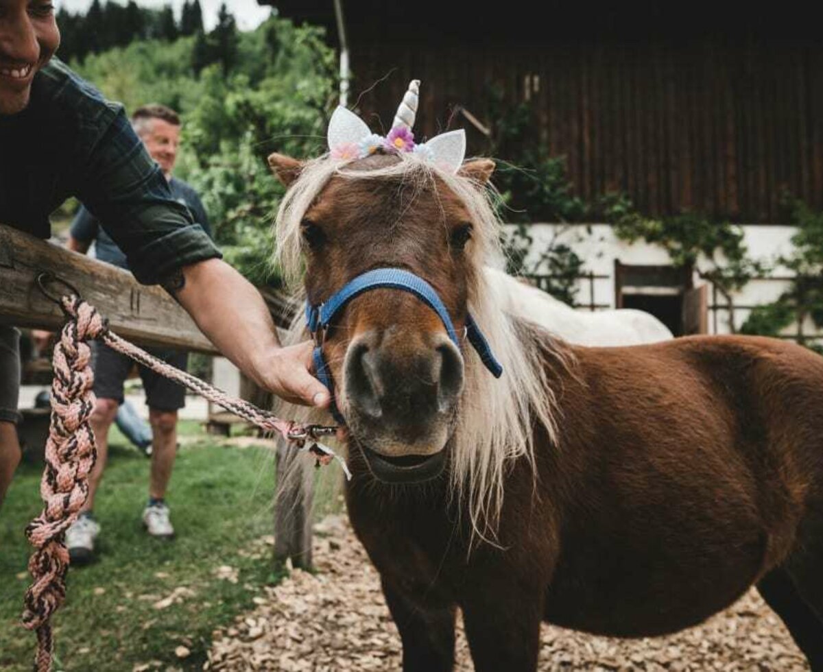 Kinderreiten am Proneben Gut