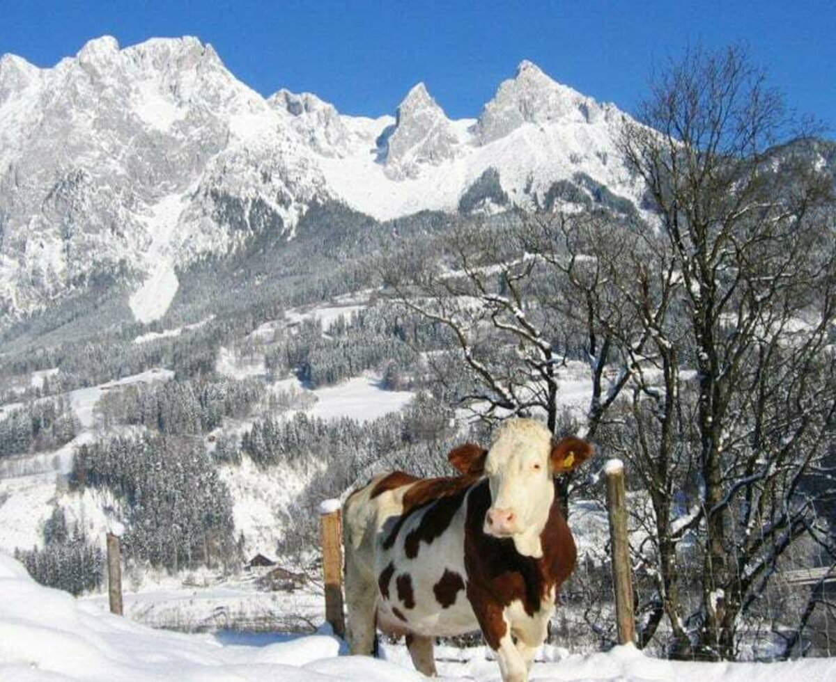 Blick vom Rettenbachgut auf das Tennengebirge