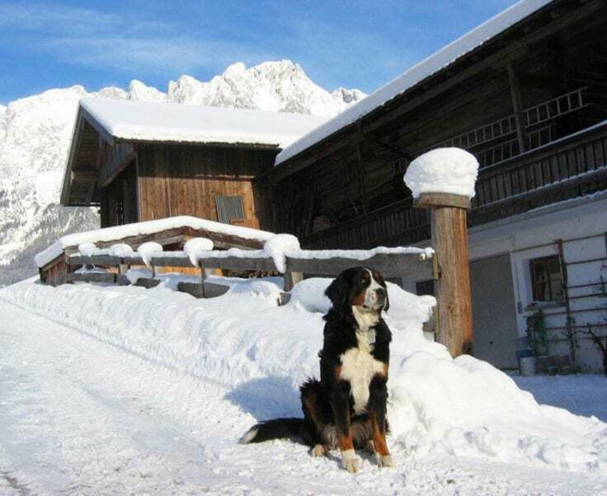 Rettenbachgut mit Blick auf das Tennengebirge