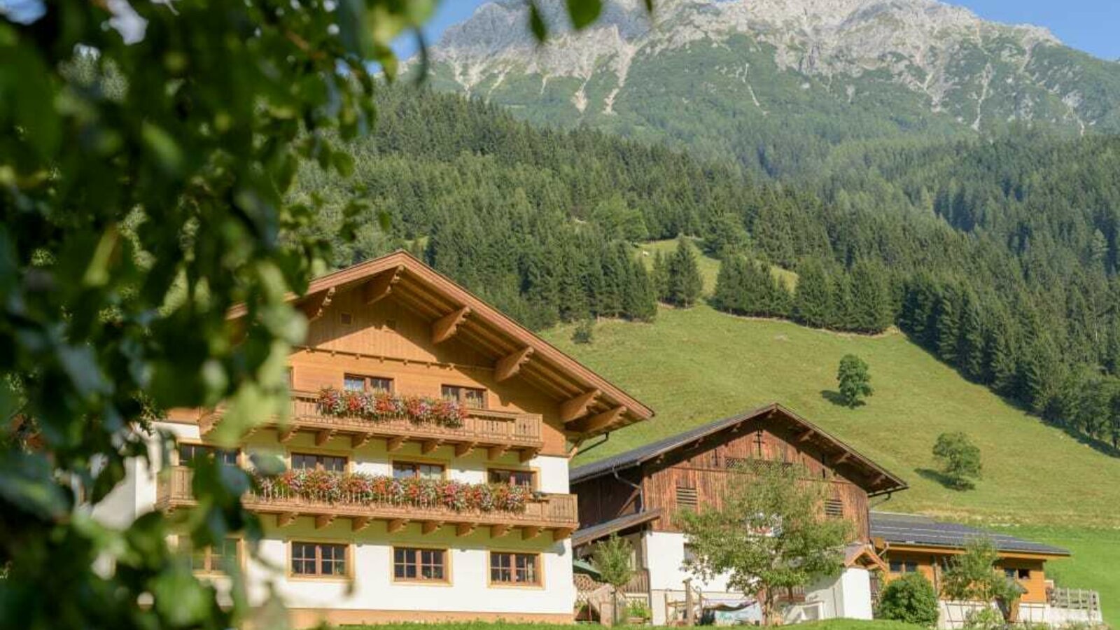 Der Schwabhof im Sommer