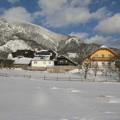 Bauernhaus-Gästehaus-Zuahaus