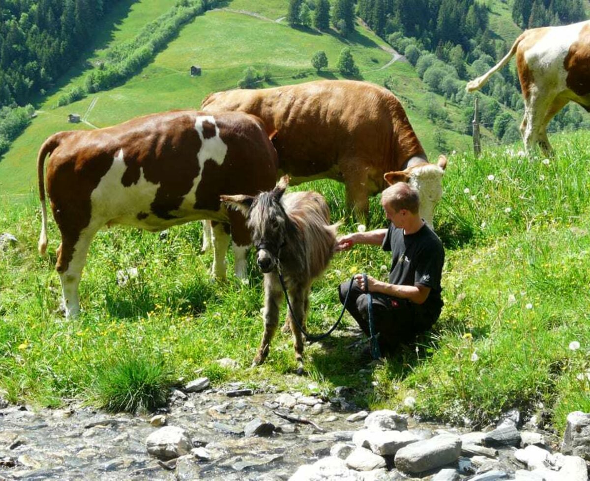 Frühlingsspaziergang zum Steinbach