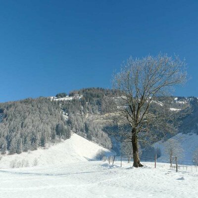 Winter am Steinbachhof