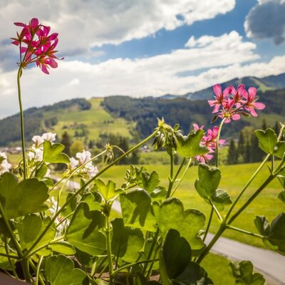 Aussicht vom Balkon