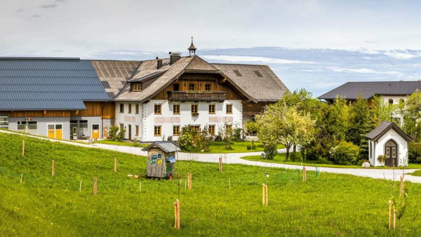 Vorderreithbauer in Hof bei Salzburg