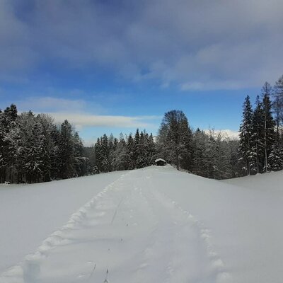 Winterweg zur Hütte