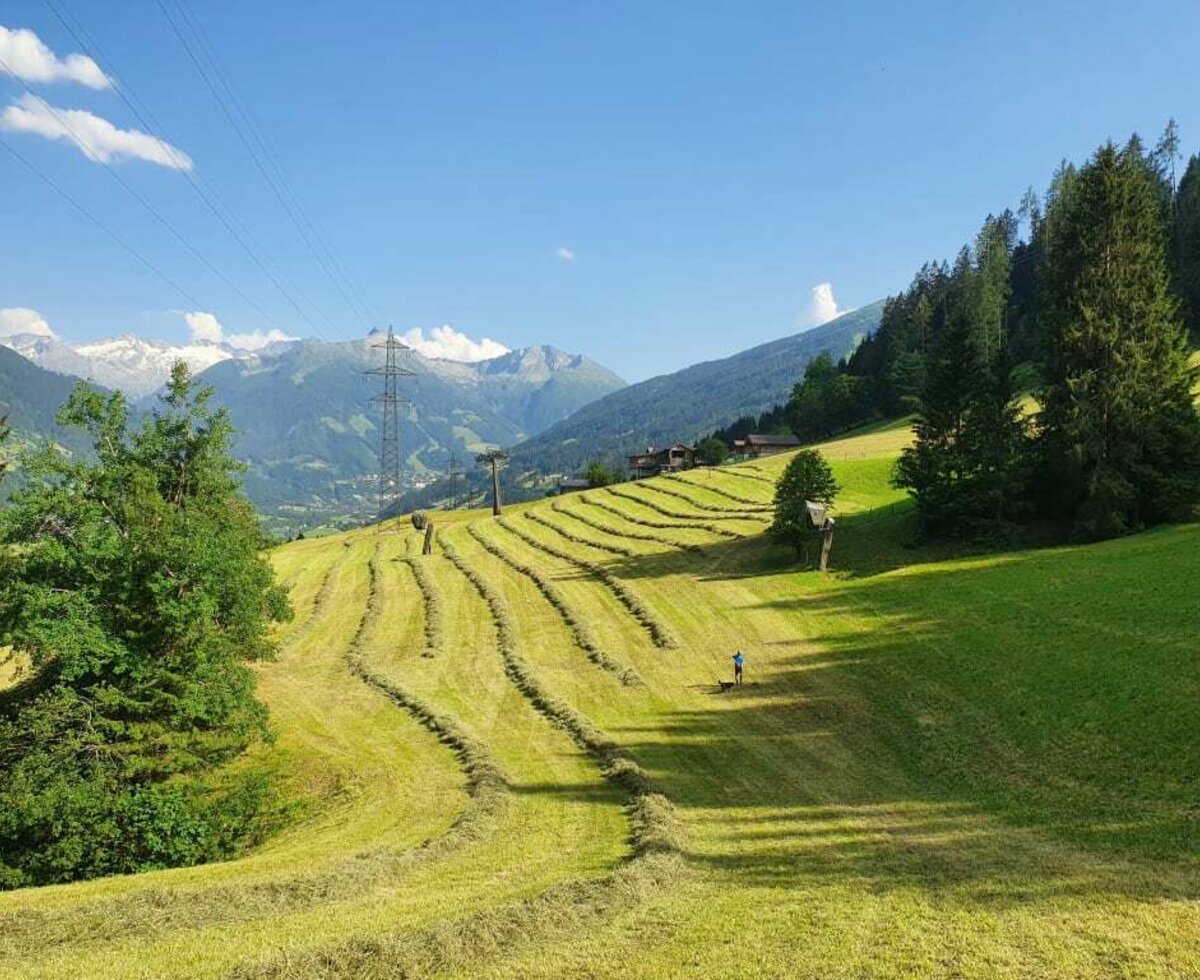 Heuernte Waldhof Gastein