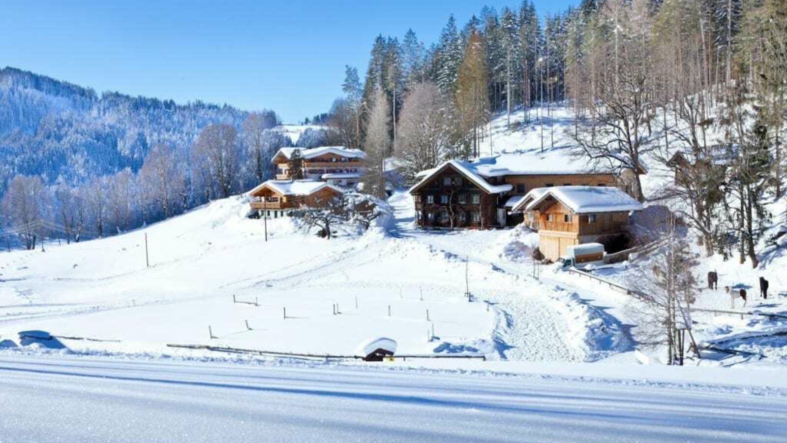 Aussicht von der Piste auf den Zauchtalerhof