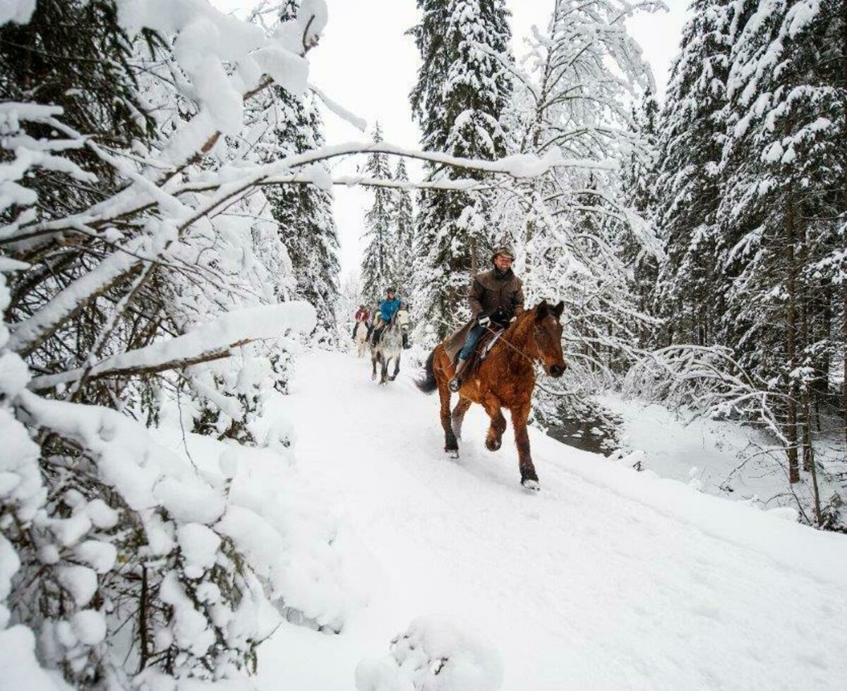 Reiten im Winter