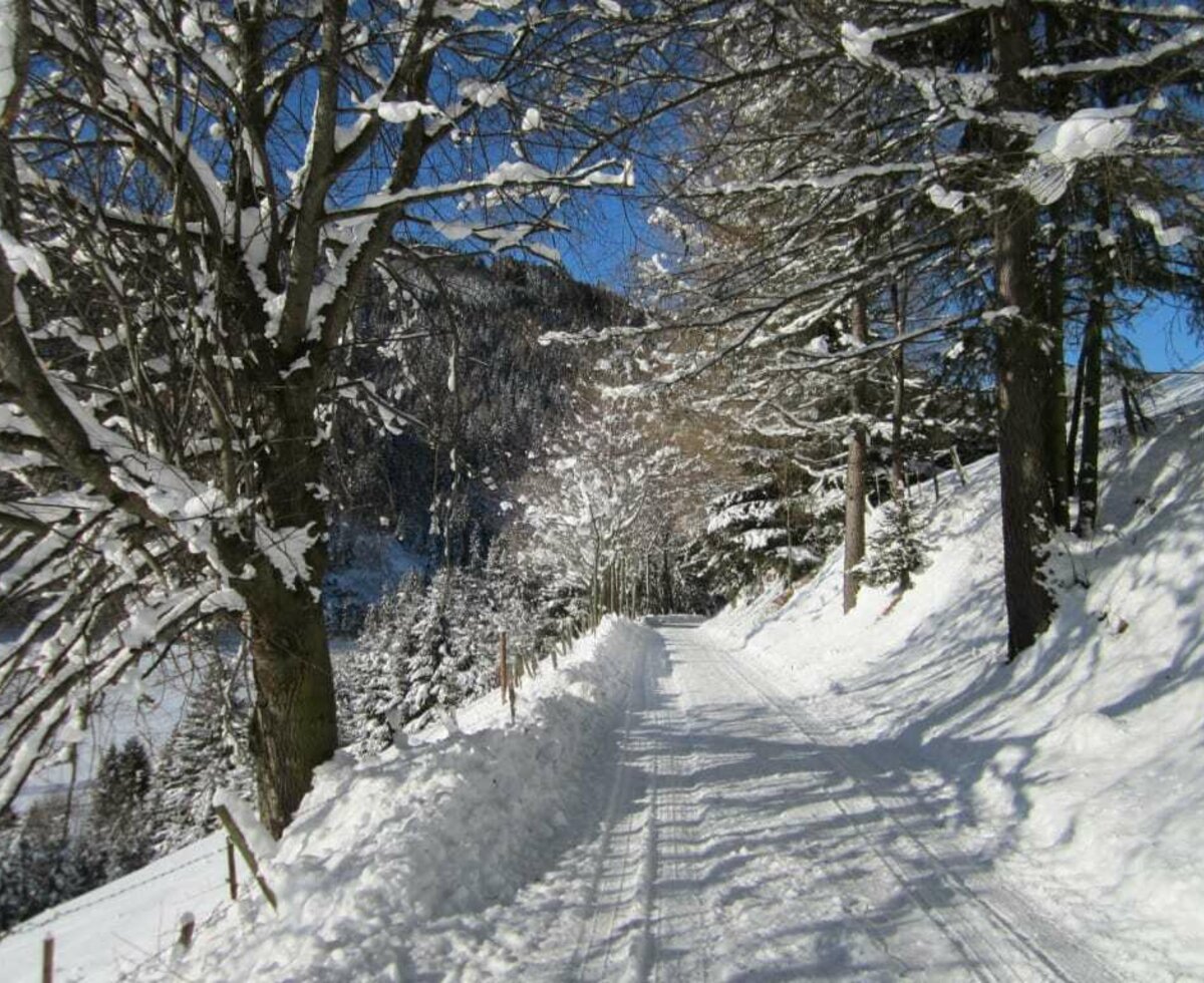 Schneespaziergang direkt vor dem Haus