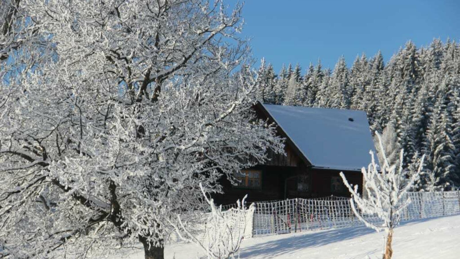 Sulmegg im Schnee