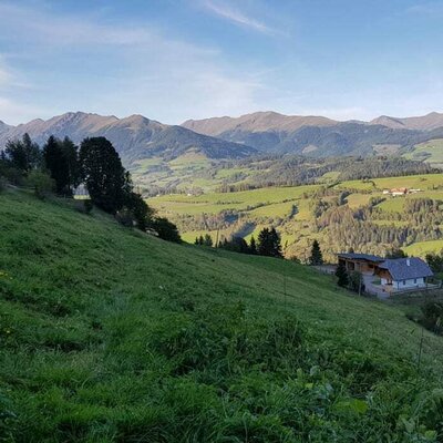 Wiedhupfhütte mitten im Grünen