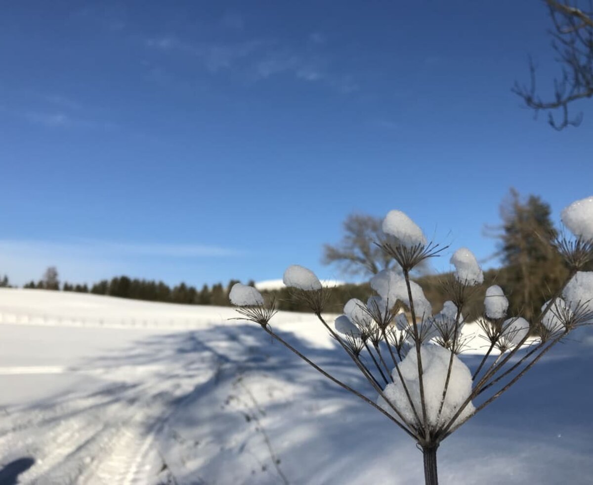 Winterlandschaft