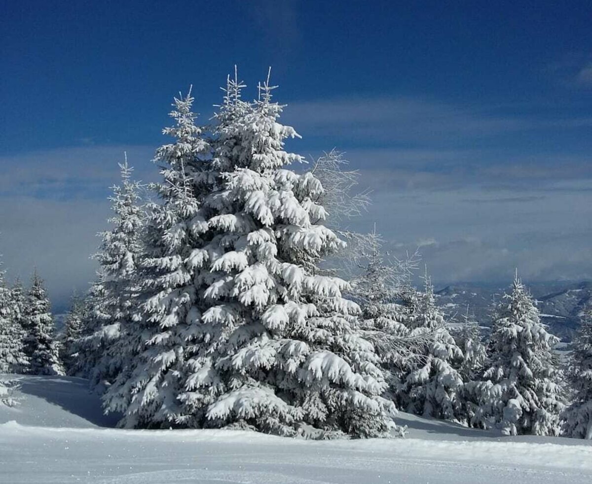 Winterlandschaft auf der Grebenzen