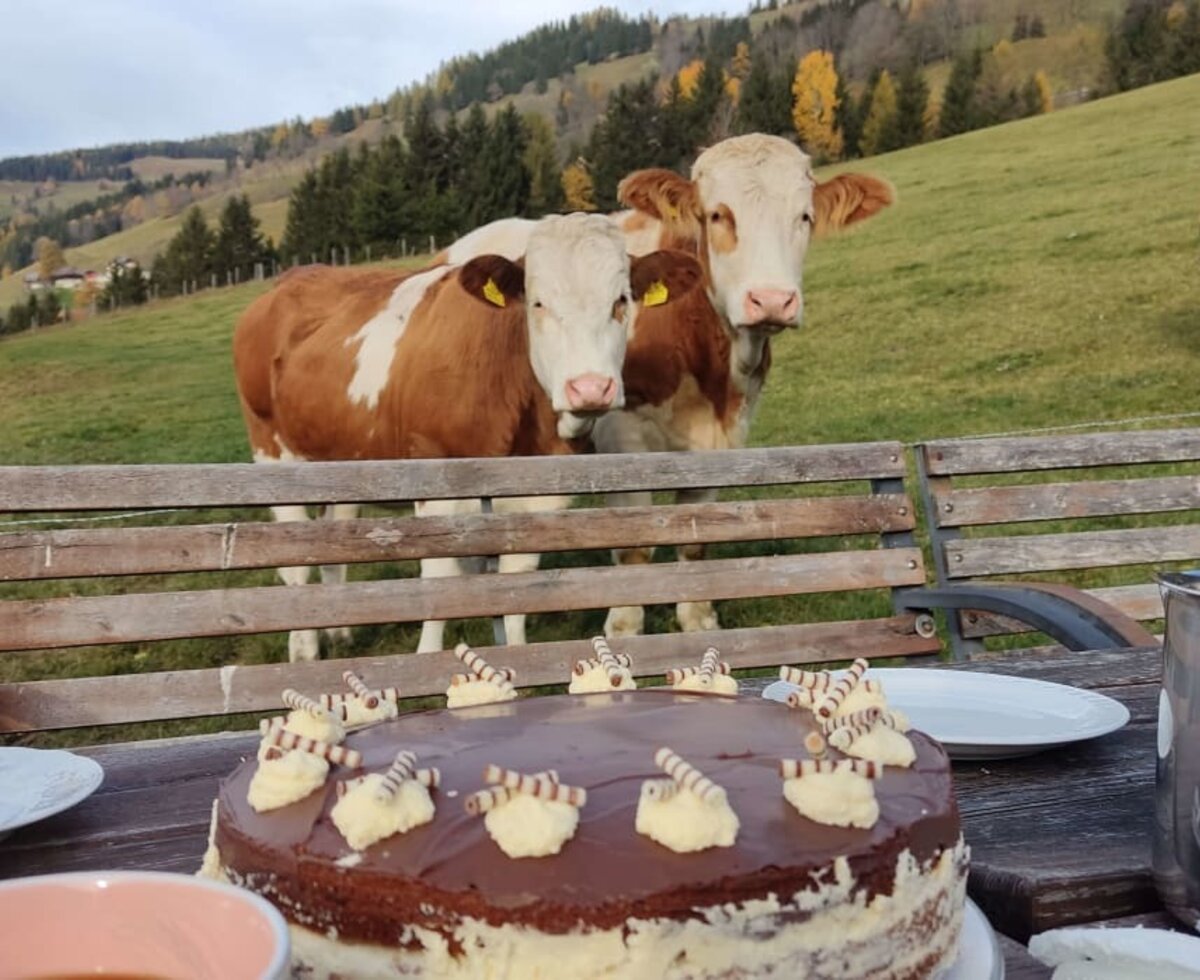 Ob die zwei auch ein Stück Torte möchten?