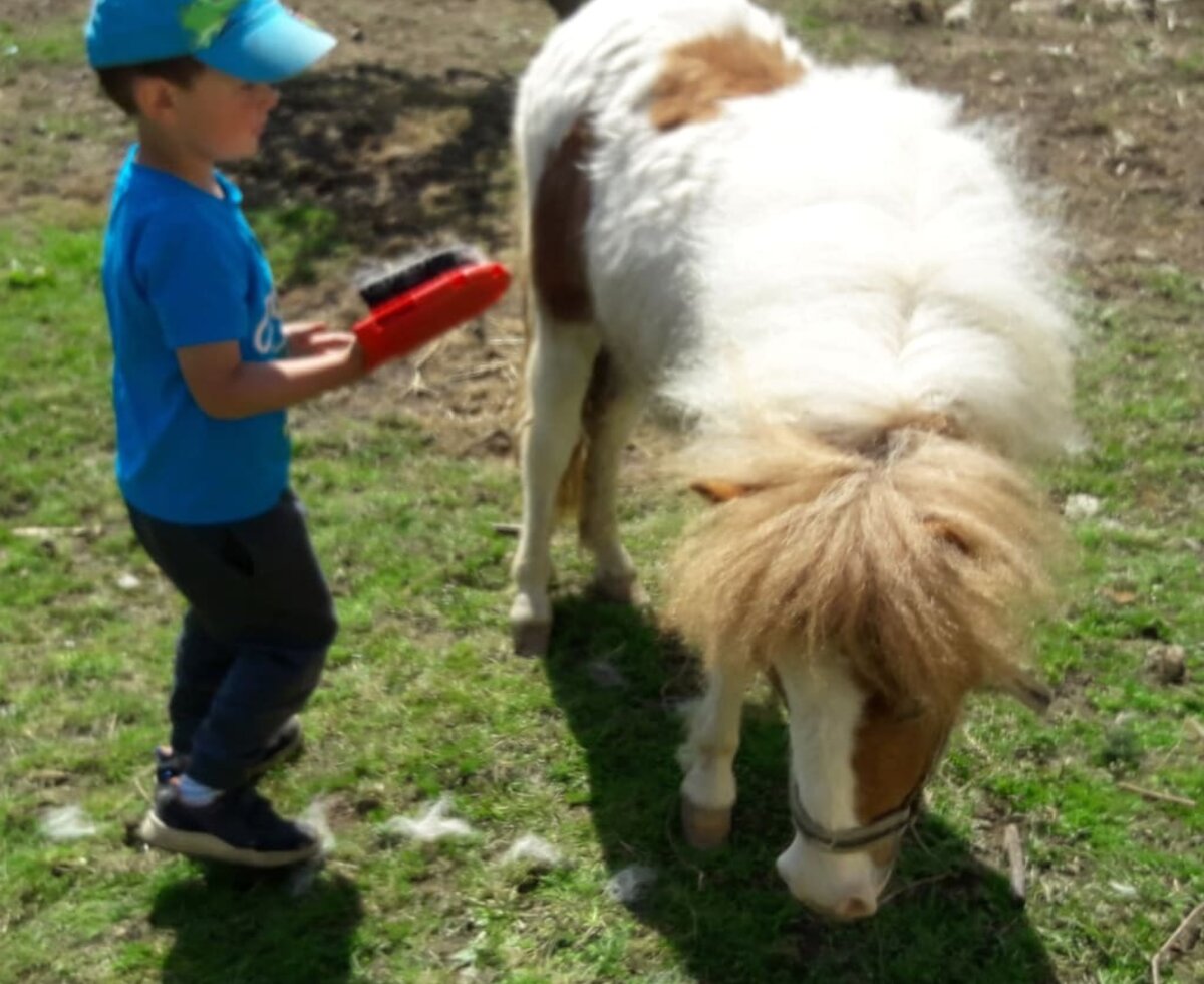 Robert mit dem Pony Molly