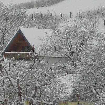 Schneereicher Winter Urlaub am Bauernhof