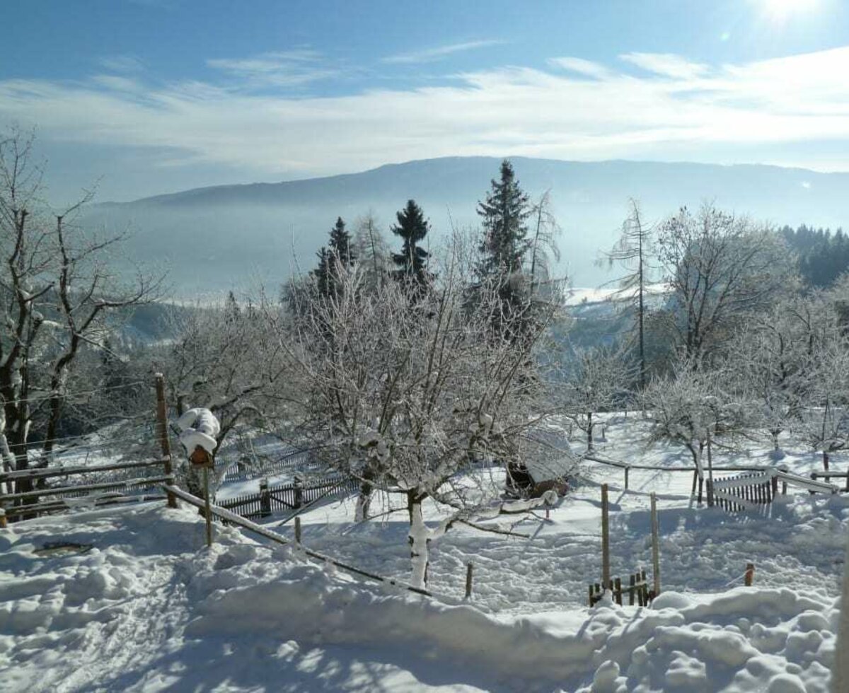 Tiefverschneiter Obstgarten