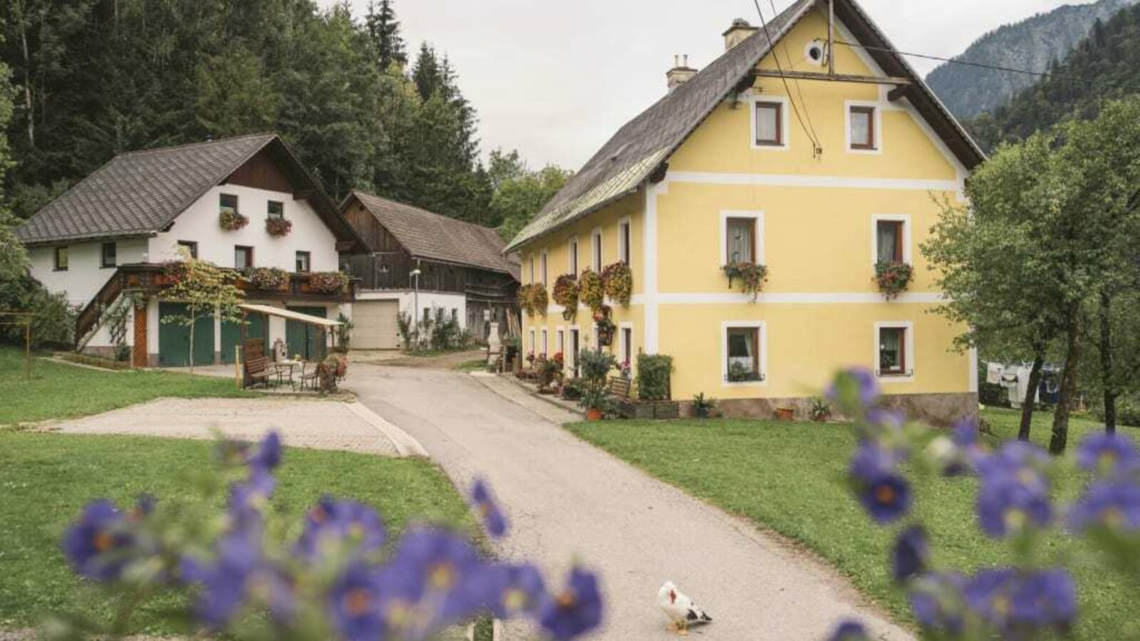 Unser Hof liegt abseits des Alltagslärm und lädt zum Entspannen ein.