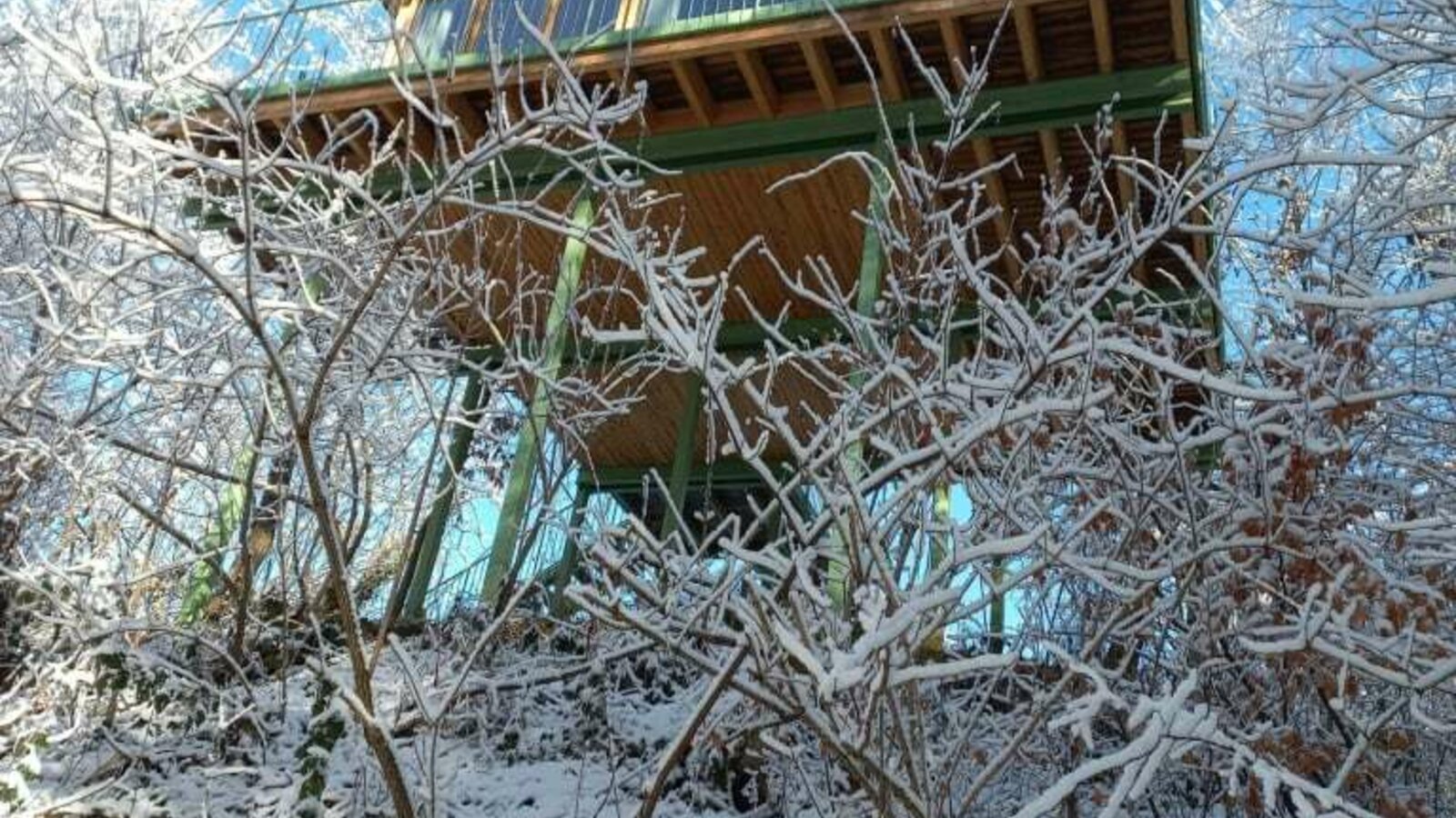 Baumhaus im Winter