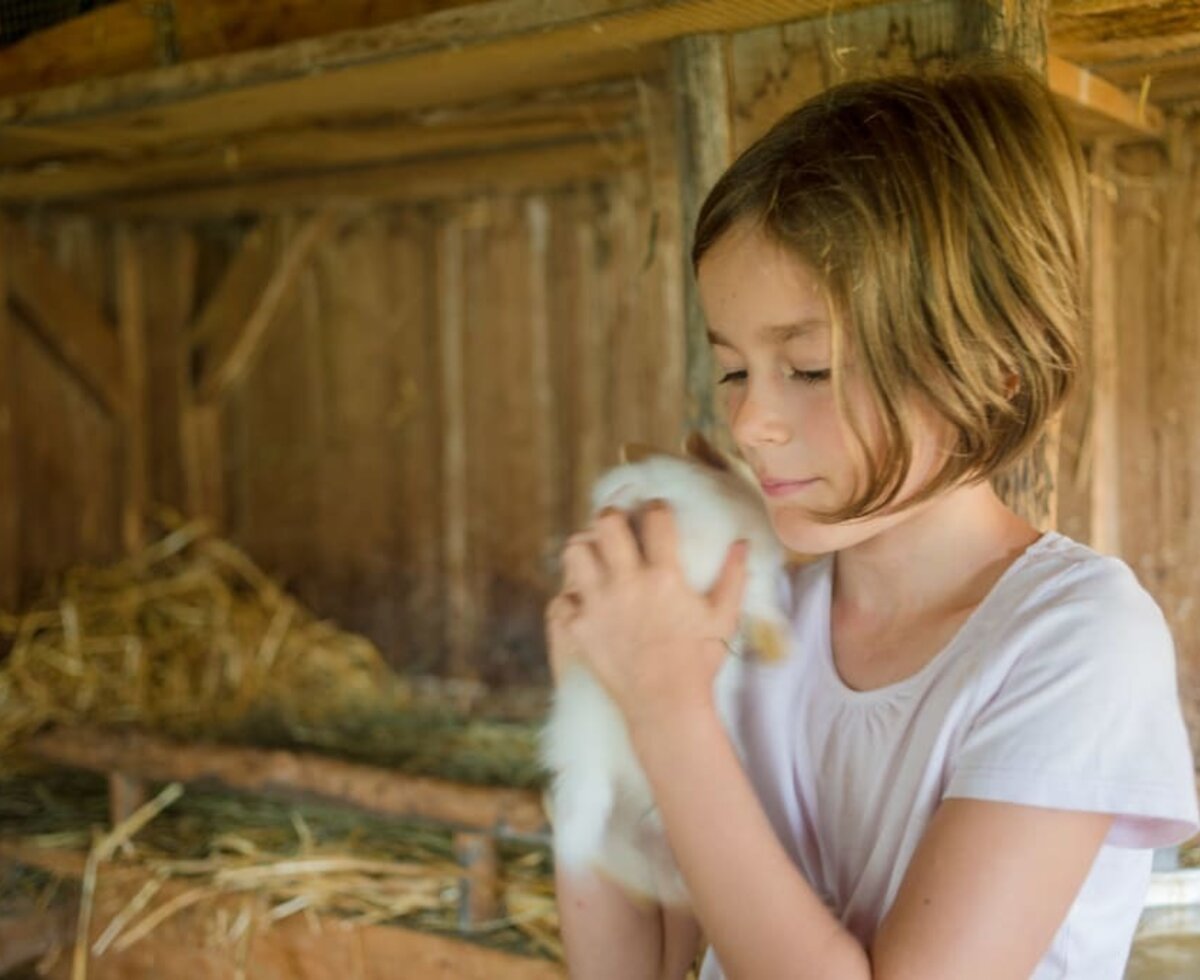 Hasen und Kaninchen