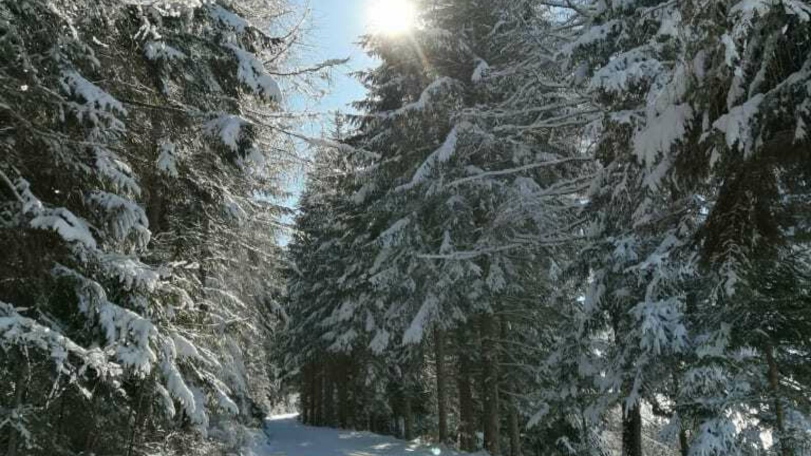 Wanderung genießen