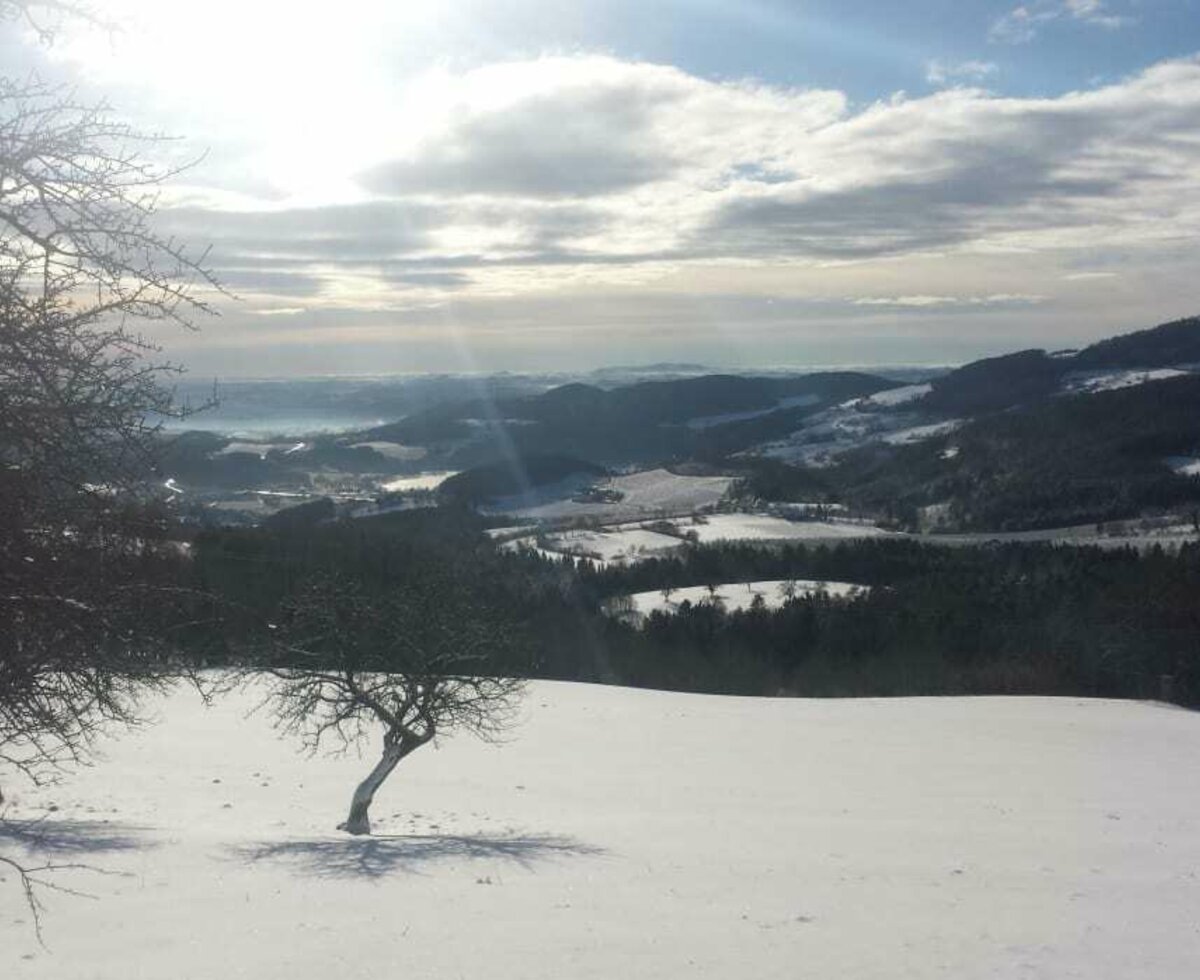 Winter Ausblick