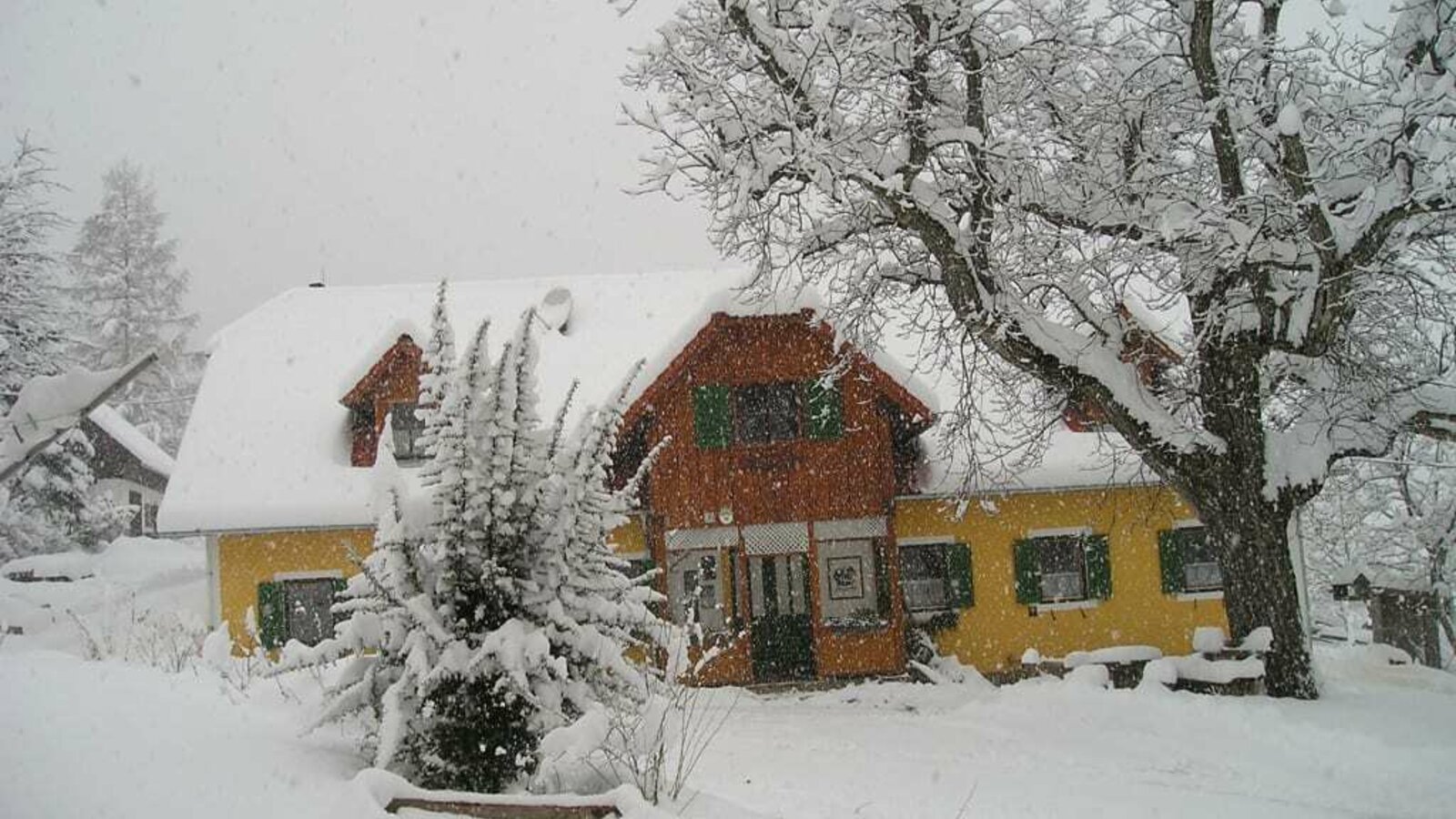 BioBauernhof Sommer im Schnee