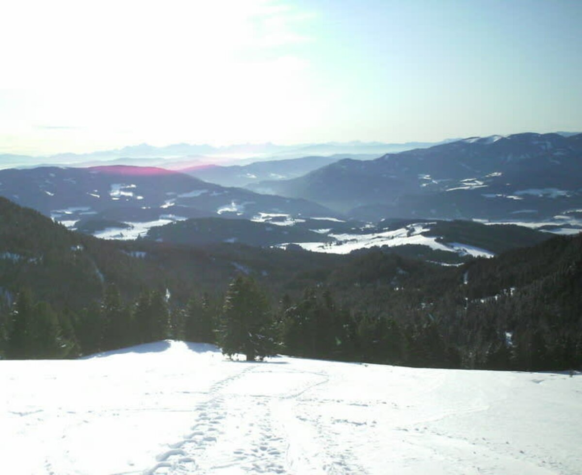 Auf der Alm