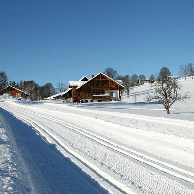 Die Loipen führen direkt am Hof vorbei !