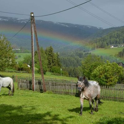 das Pony mit dem Regenbogen