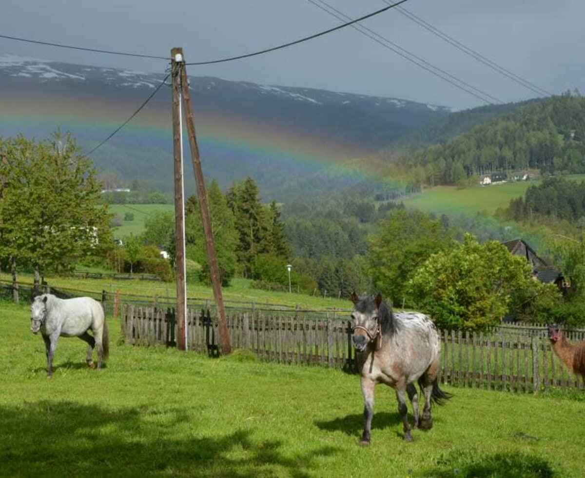 das Pony mit dem Regenbogen