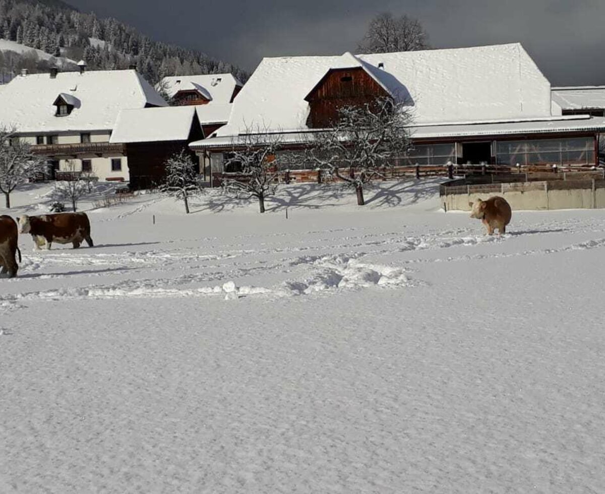 Der Zirkerhof im Winter