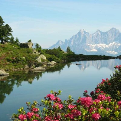 Spiegelsee mit Dachsteinmassiv