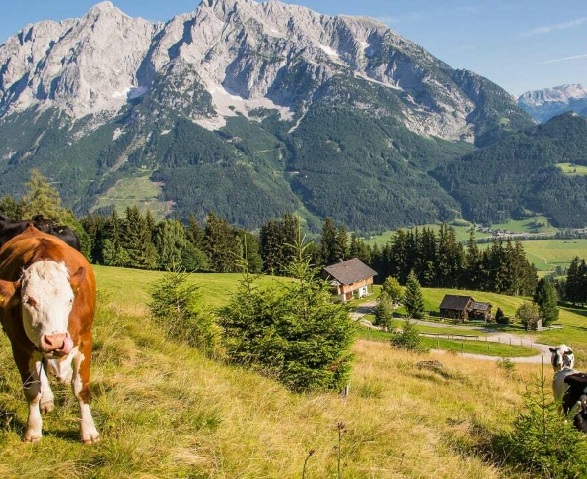 Atemberaubende Aussicht