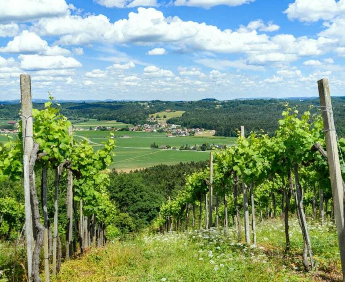 Panoramablick auf Heimschuh