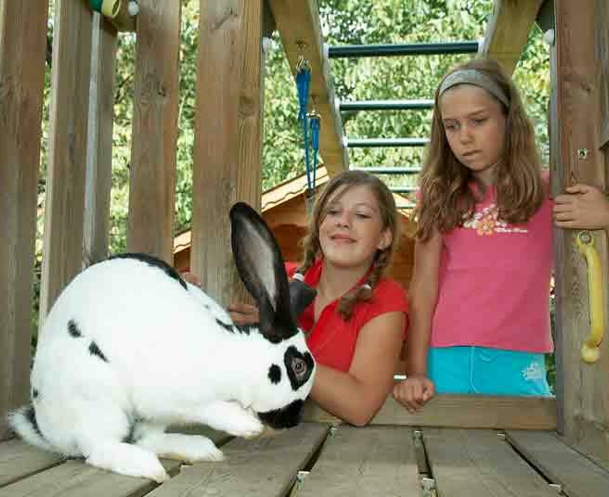 Kinder und Hase